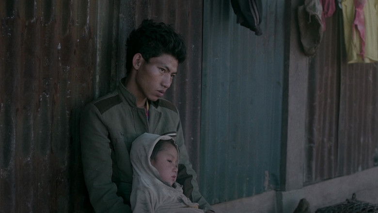 Imatge de Century of Smoke