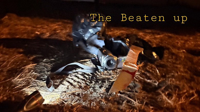 Imatge de The Beaten up