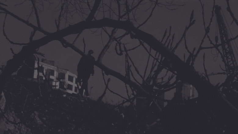 Imatge de Dedicated to the One Eye Love