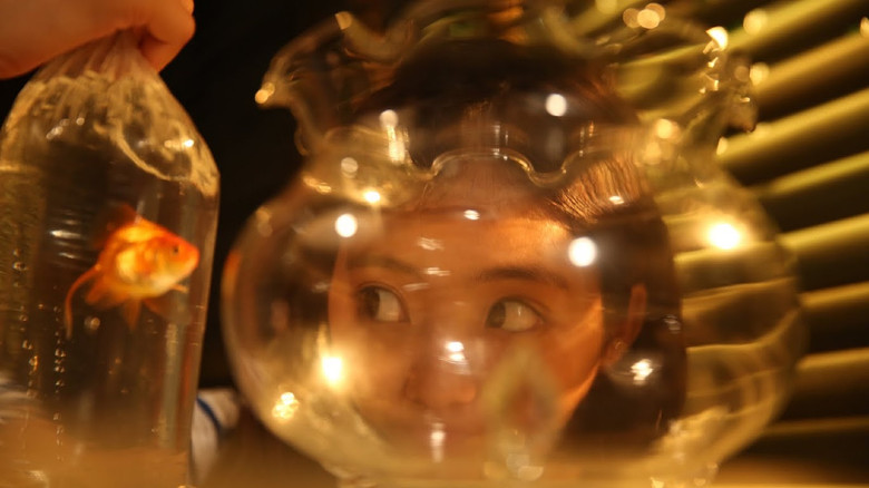 Gallery image from uPkCxYV7BwP8DzmvYPXuwzwYcoY.jpg