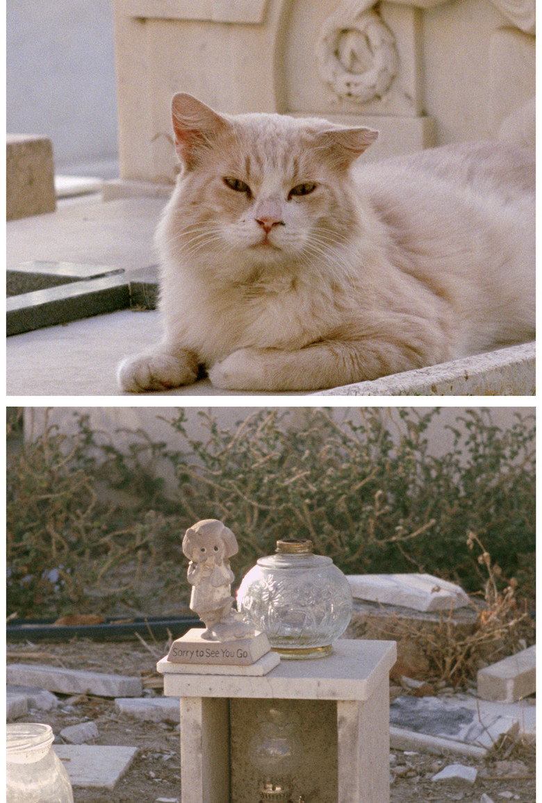 Imatge de Sorry to See You Go