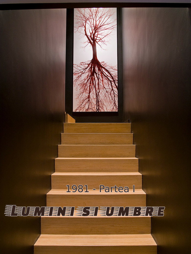 Poster de Lumini și umbre