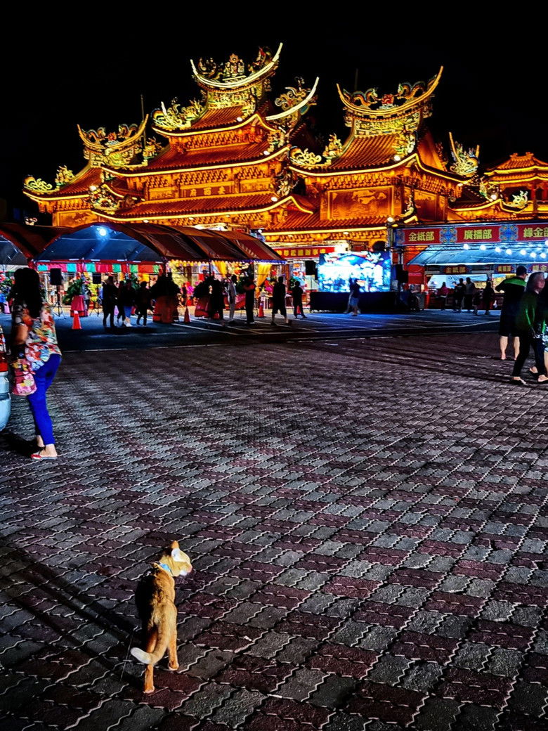 Imatge de 黑色虱目魚