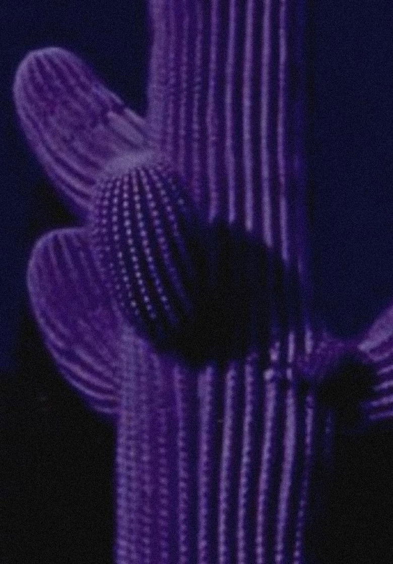 Imatge de Sidewinder's Delta