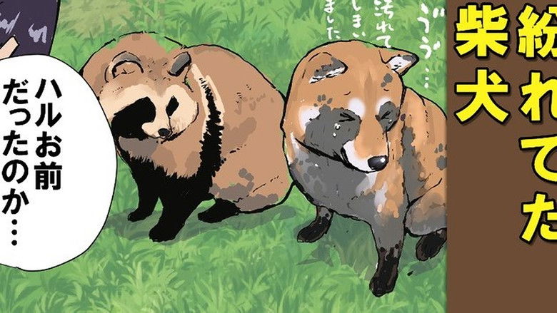 Still image for Doomsday with My Dog season 1 episode 66: Catching Eels / Trash Panda Still image for Doomsday with My Dog season 1 episode 66: Catching Eels / Trash Panda