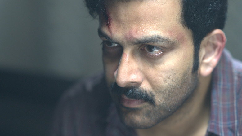I, നോബഡി