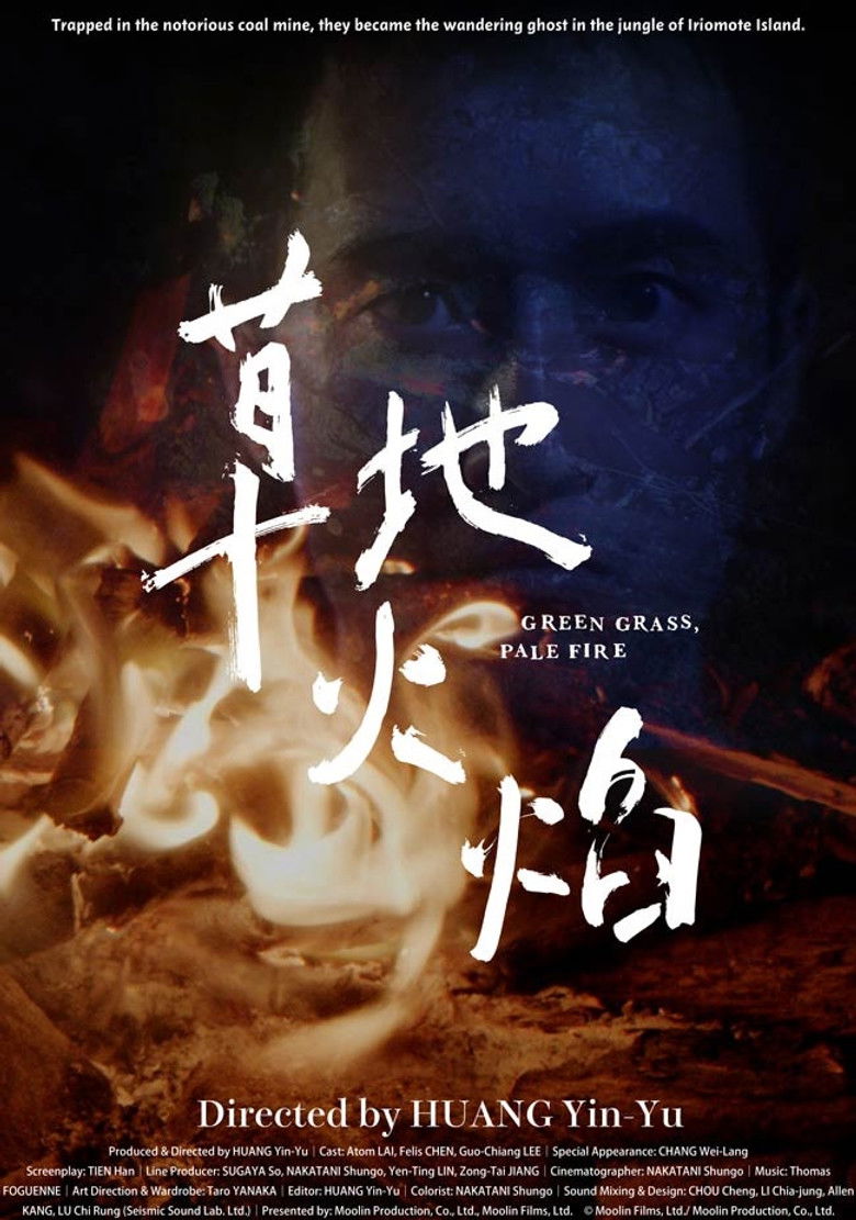 Imatge de 草地火焰