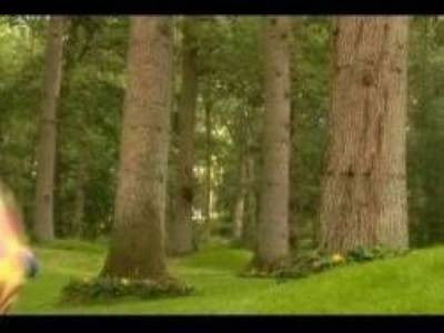 Still image for 花园宝宝高清版 season 1 episode 39: Episode 39 Still image for 花园宝宝高清版 season 1 episode 39: Episode 39