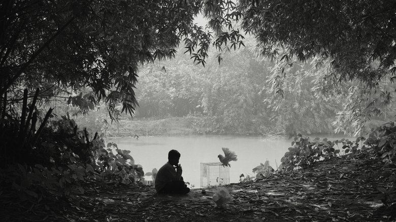 The Pair of White Pigeons main backdrop