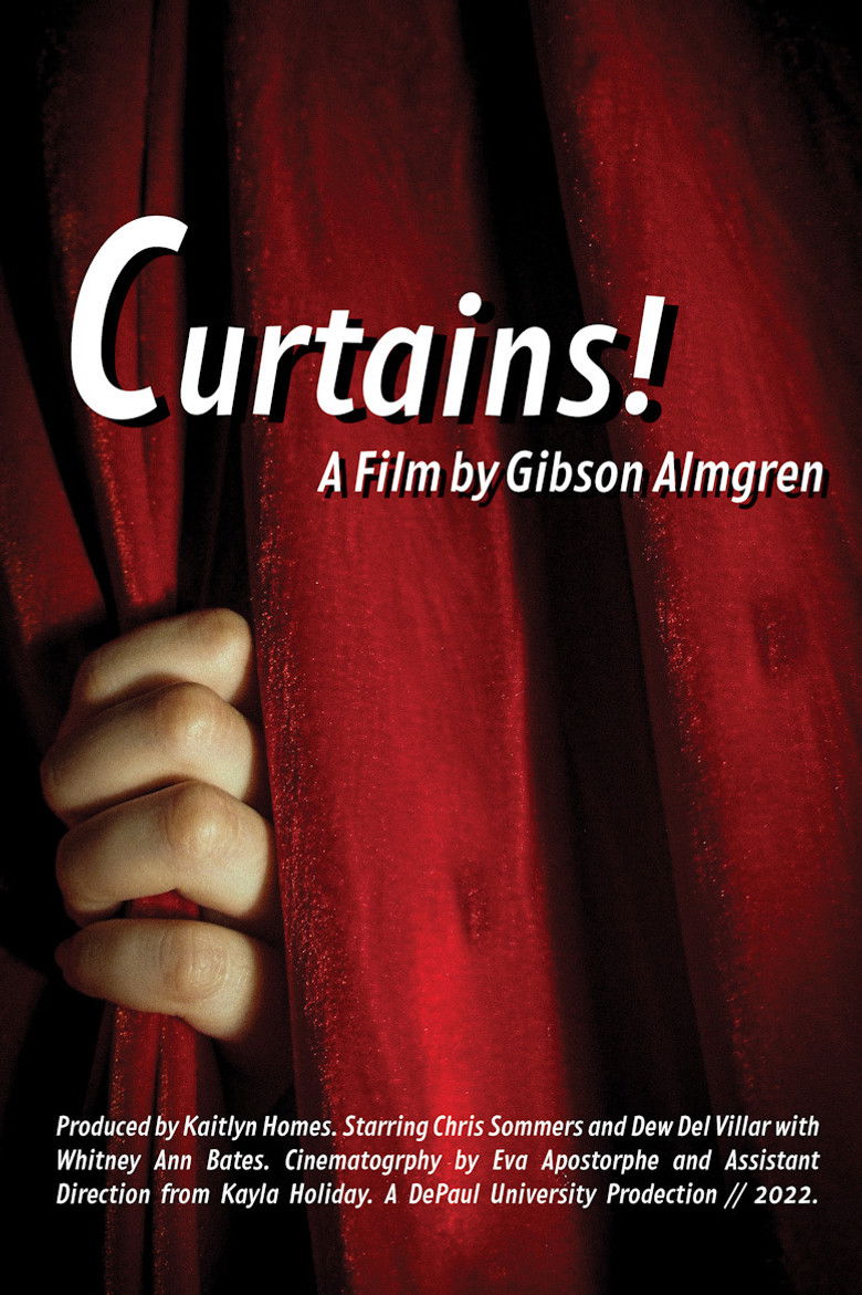 Imatge de Curtains
