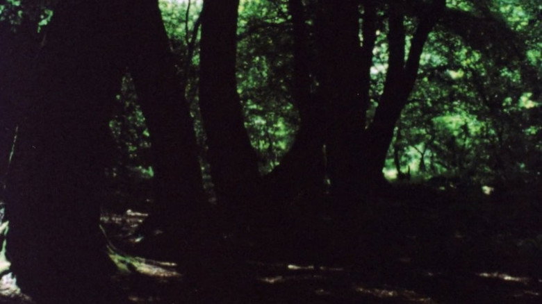 Still from Reflections – Ireland