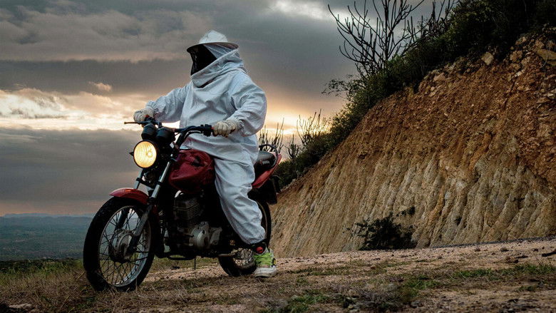 Gallery image from uU3qCbVurNfvG8o4MrgIv8zPi6t.jpg