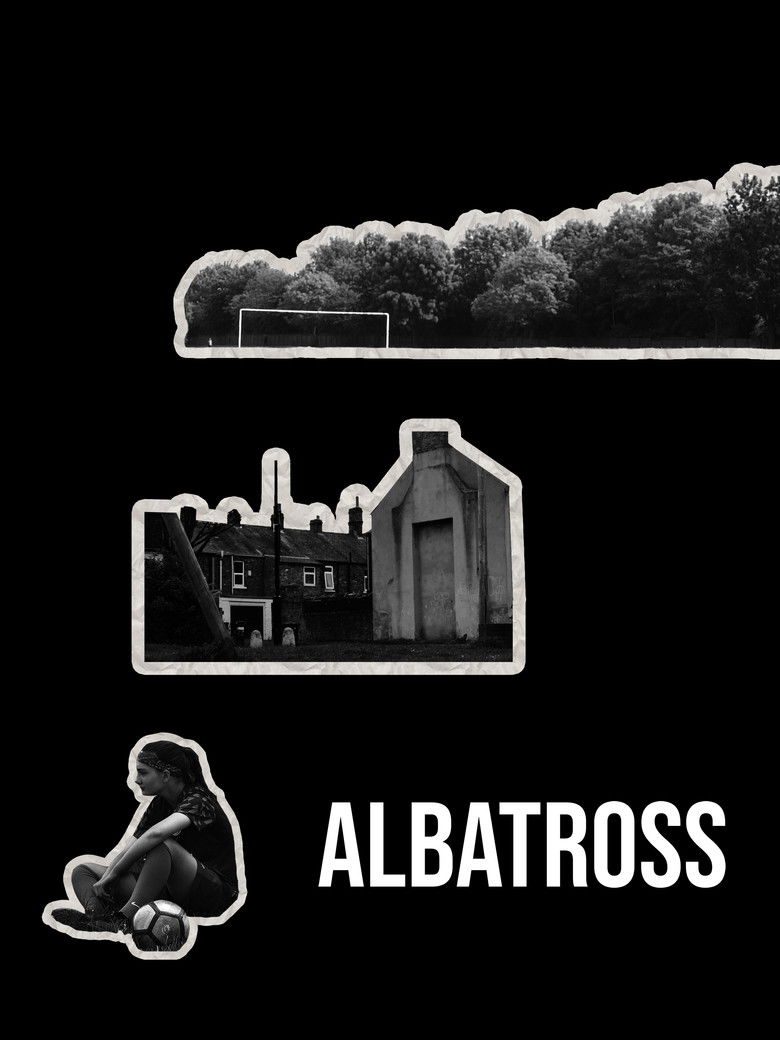 Imatge de Albatross