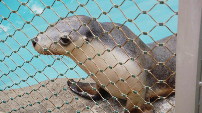 Still image for Secrets of the Zoo: Down Under season 1 episode 1: Project Platypus Still image for Secrets of the Zoo: Down Under season 1 episode 1: Project Platypus