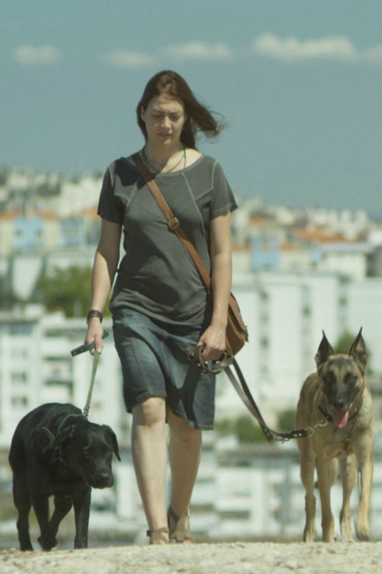 Imatge de A Cidade e o Sol