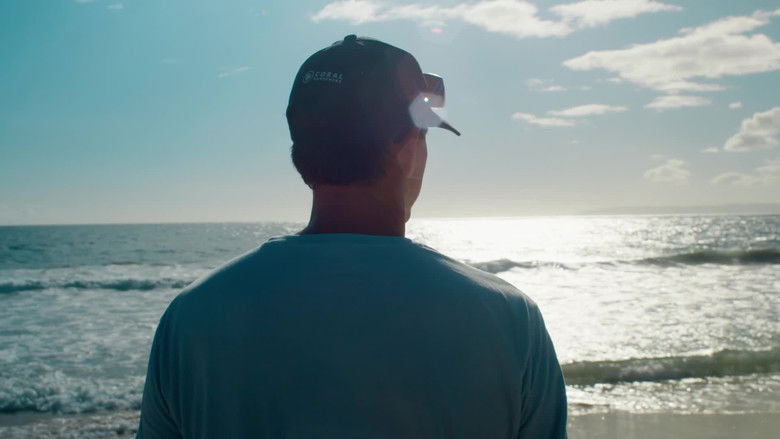 Still image for When Sharks Attack... and Why season 1 episode 5: Hawaii's Sharktober Still image for When Sharks Attack... and Why season 1 episode 5: Hawaii's Sharktober