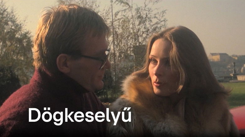 Image d'arrière-plan 2 du film Le Vautour