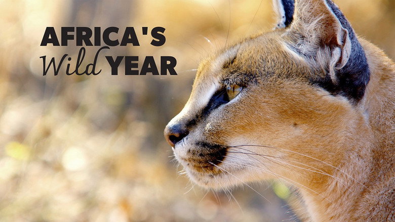 L'Afrique sauvage en quatre saisons 4