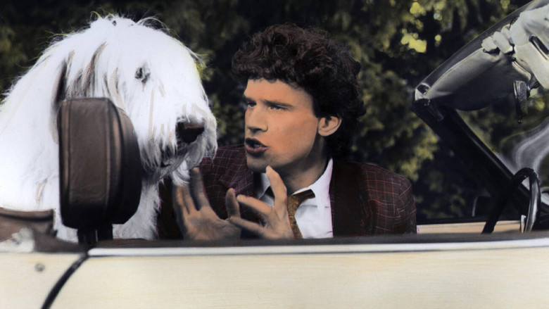 Image d'arrière-plan 2 du film Chien malgré lui