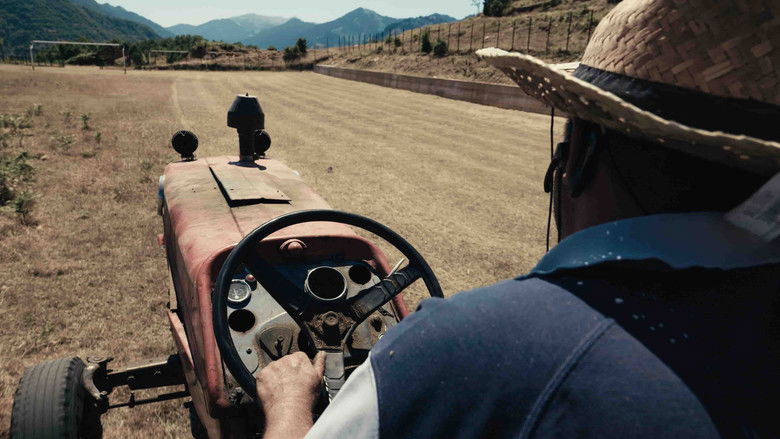 Gallery image from uXyFxhesHllyb5piprSdhBLVdfM.jpg