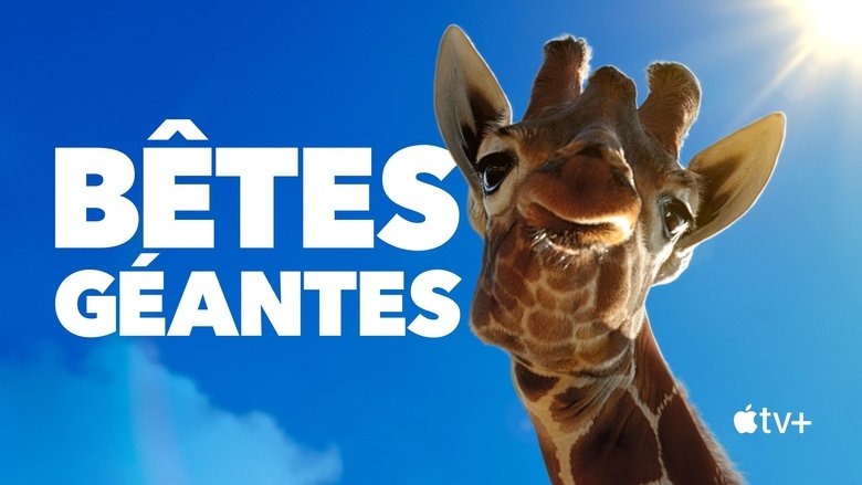 Gallery image from uYgPEAExEAKXmExjgsbPYSiIWc3.jpg