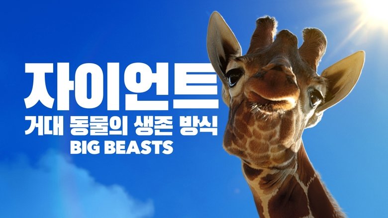 Gallery image from uYpiSwjSafwSlNSXuW2Zj5YNOTE.jpg