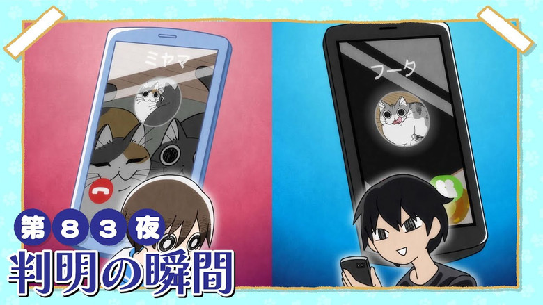 Still image for Nights with a Cat season 1 episode 83: Night 83: The Moment of Truth