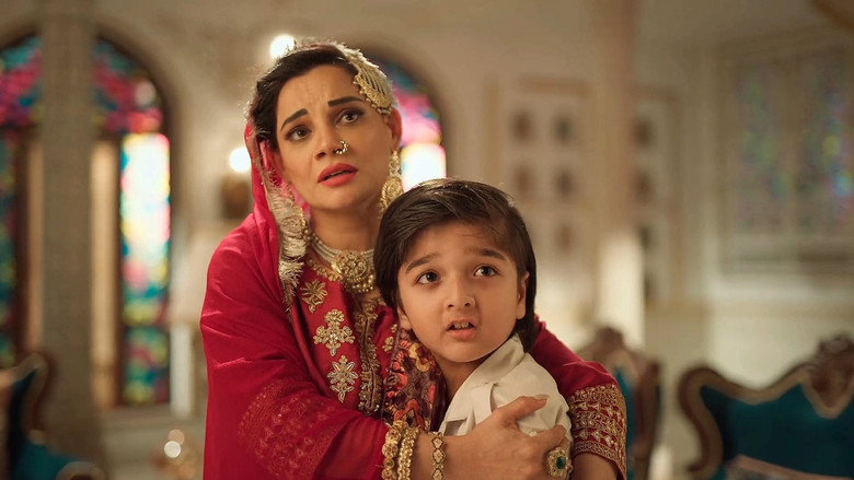 S02E164 – Seher accepts Fareed's condition