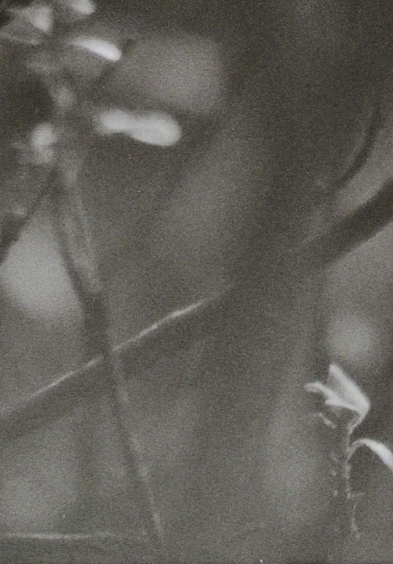 Imatge de Surface Memory Oblivion