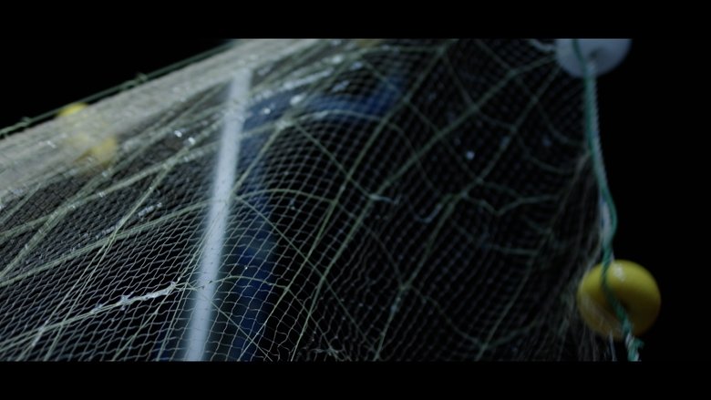 Gallery image from uc3siv6gUMyVcafuDVrpyDhcKXA.jpg