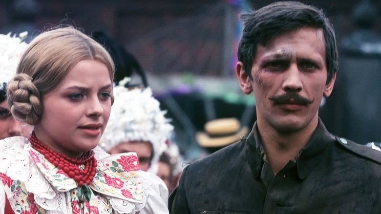 Gallery image from ucQiNxFhOo9z358zdfvYxVMRbGN.jpg