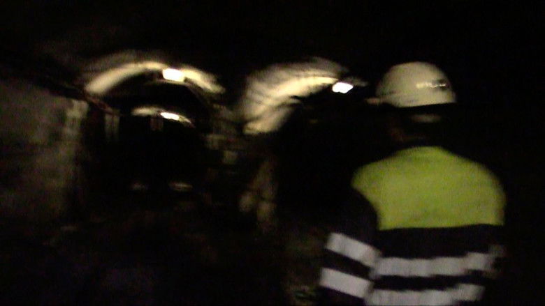 Gallery image from ucfoMaYbVwIVGJkUY8fVSEDZaJF.jpg