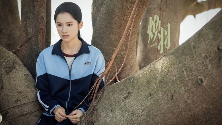 Gallery image from ucix320wBdqlpCP0ikfuctZXNen.jpg