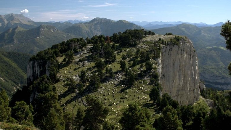 La Métaphysique du berger (2021)