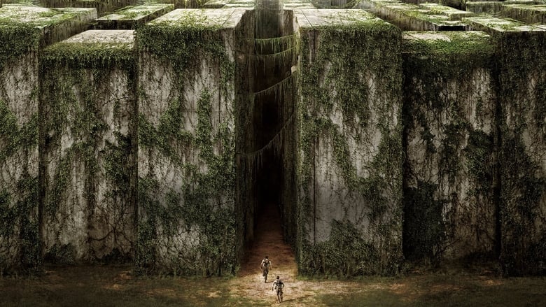 The Maze Runner movie poster