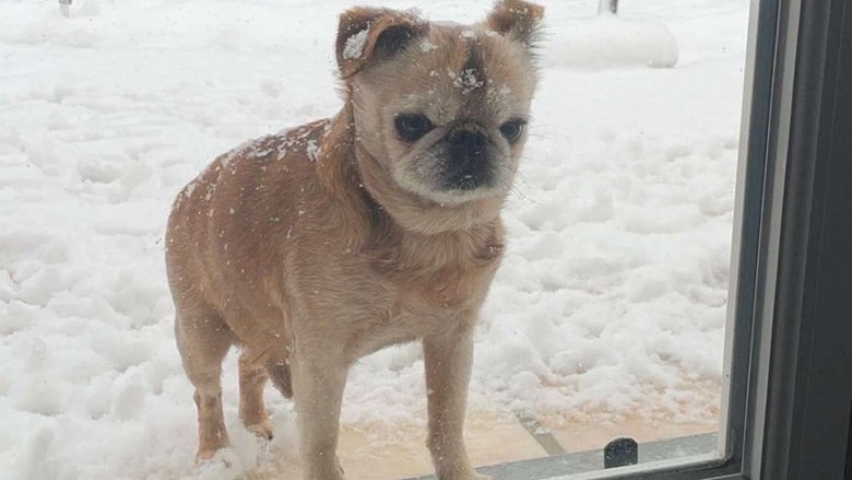 Gallery image from udx33p5Pwyi0EAQmAqkEznUN8tR.jpg