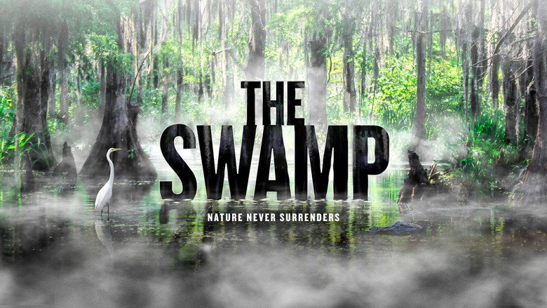 The Swamp görsel 1