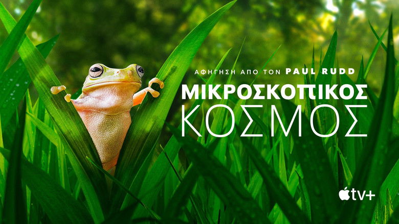 Gallery image from ufQ8stmKxkkmPukgk8jwFj5nsDX.jpg