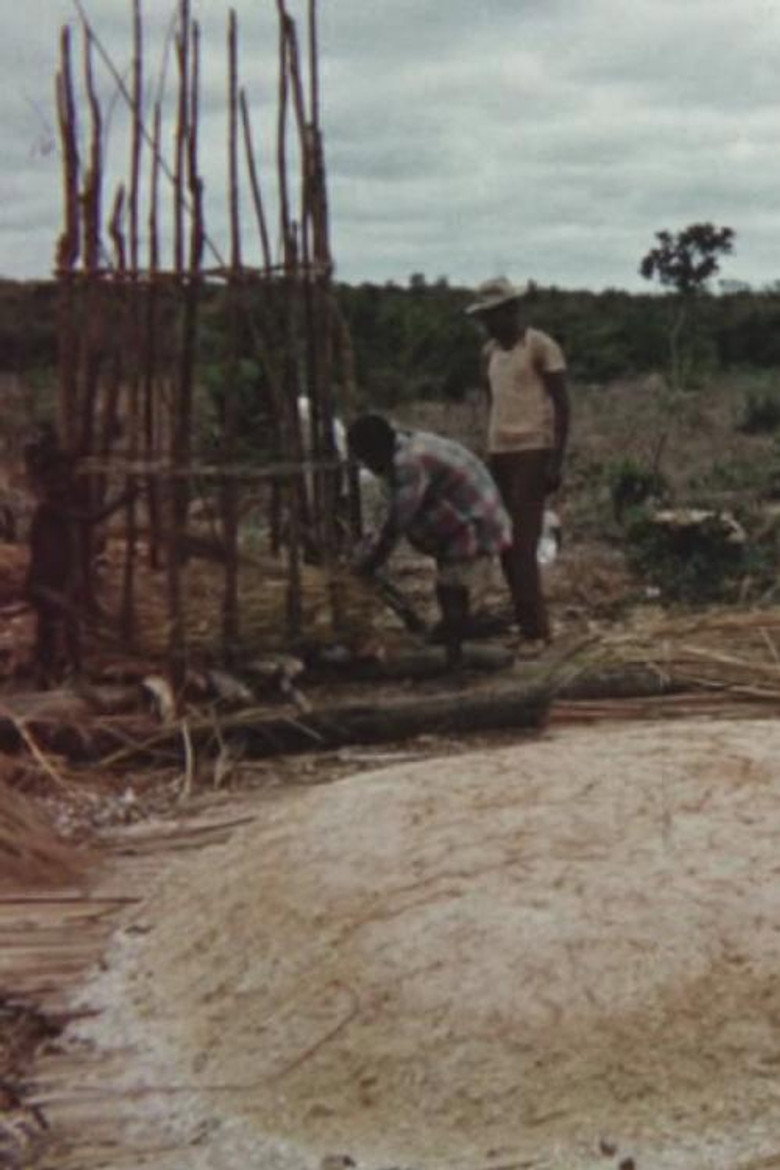 Making Toasted Cassava Flour background