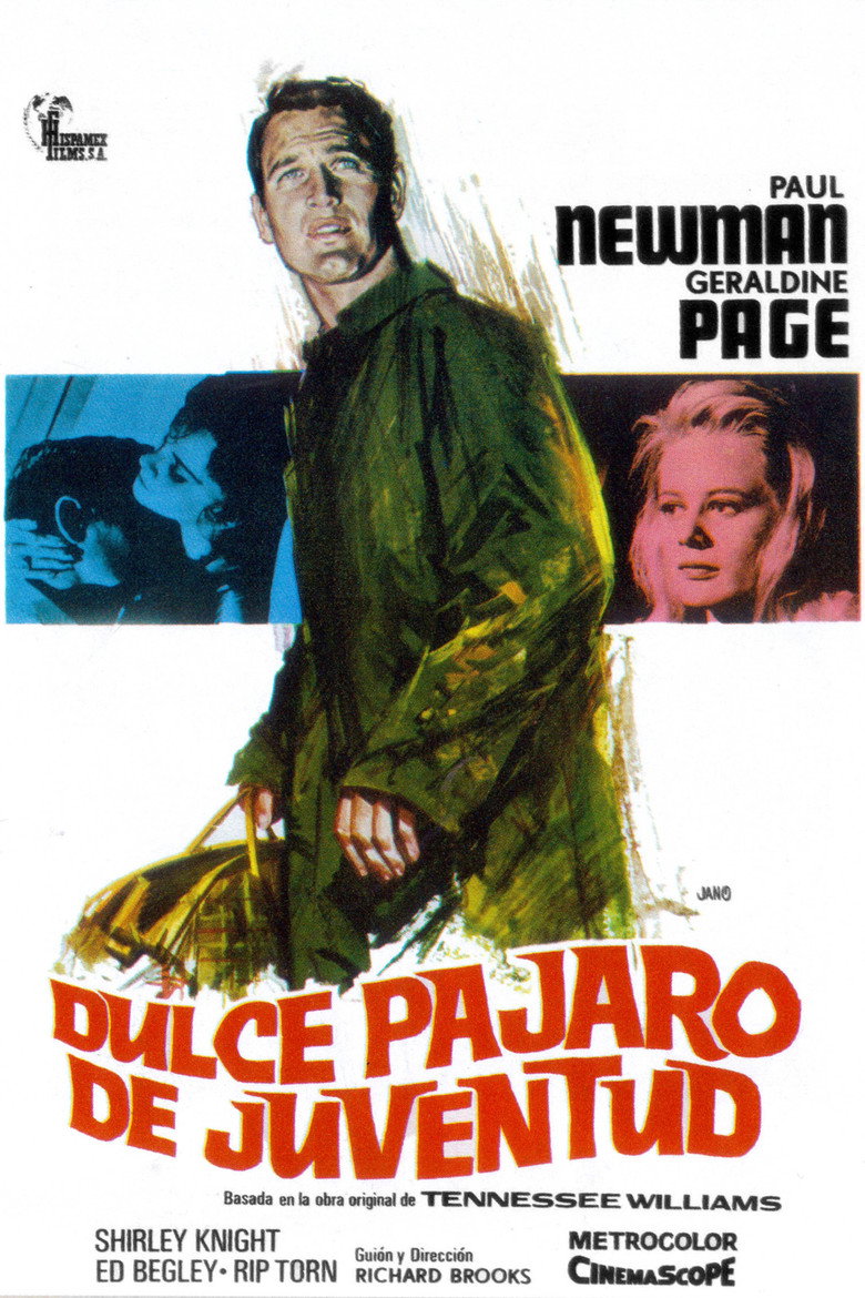 El dulce pájaro de la juventud