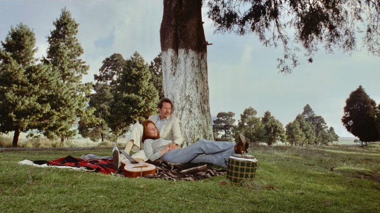 Bring Me the Head of Alfredo Garcia (1974)