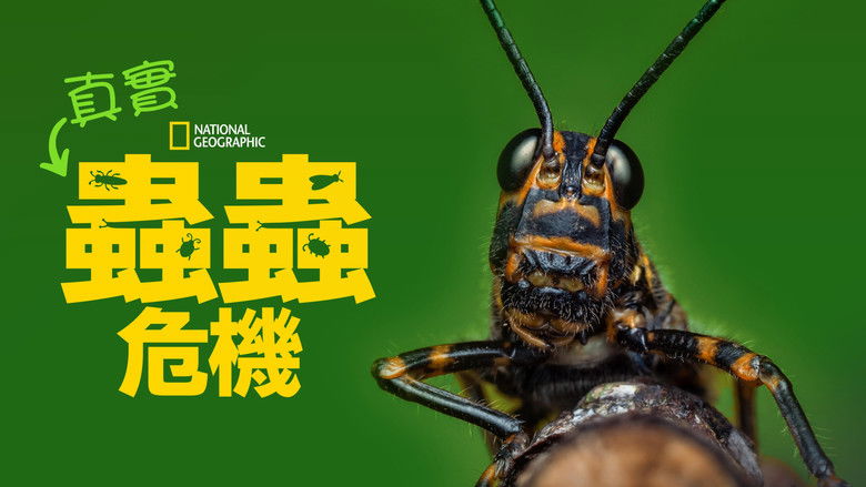 Gallery image from ugMVXolJrgFnj20zGijpydqeKgf.jpg