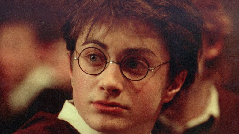 Backdrop de Harry Potter - Col·lecció