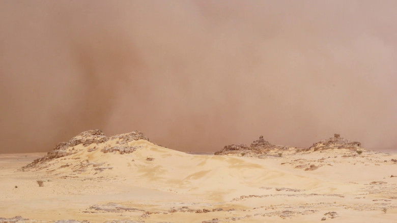 Surviving the Impossible