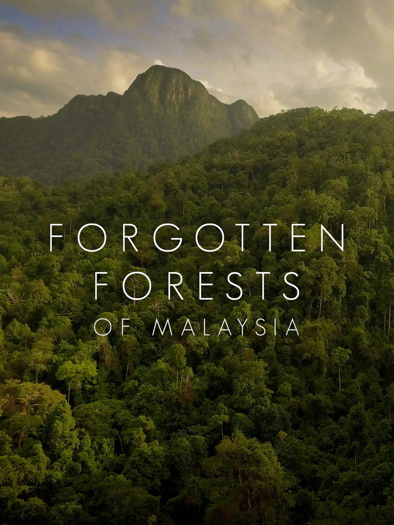 Imatge de The Forgotten Forests of Malaysia