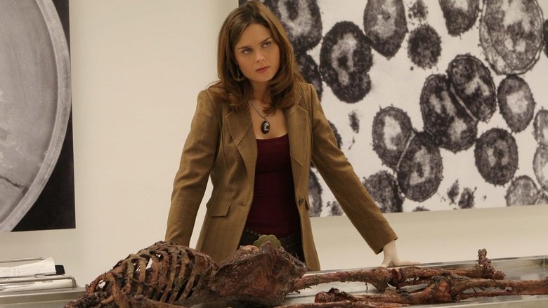 Still image for Bones season 1 episode 10: The Woman at the Airport Still image for Bones season 1 episode 10: The Woman at the Airport