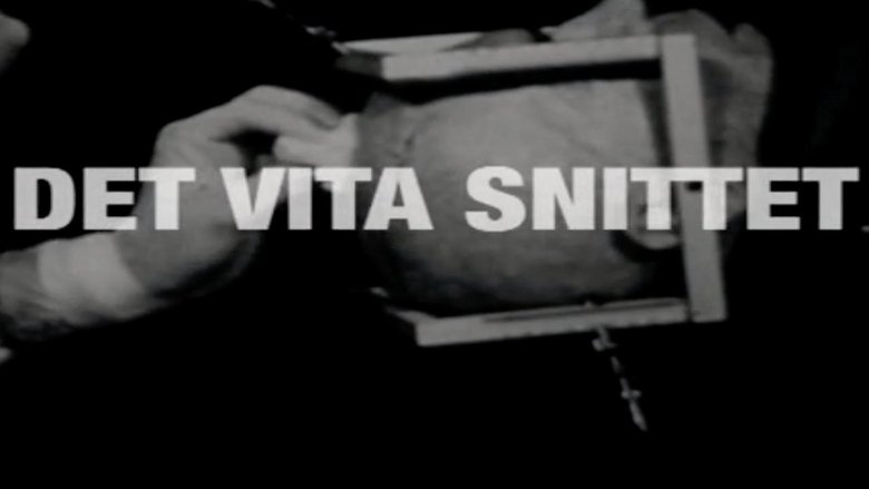 Det Vita Snittet main backdrop