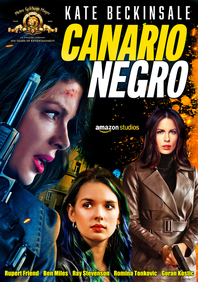 Póster la Película
