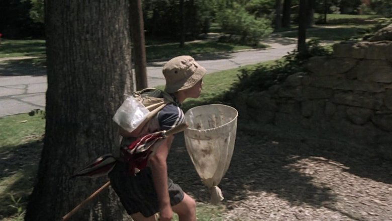 Lucas (1986)