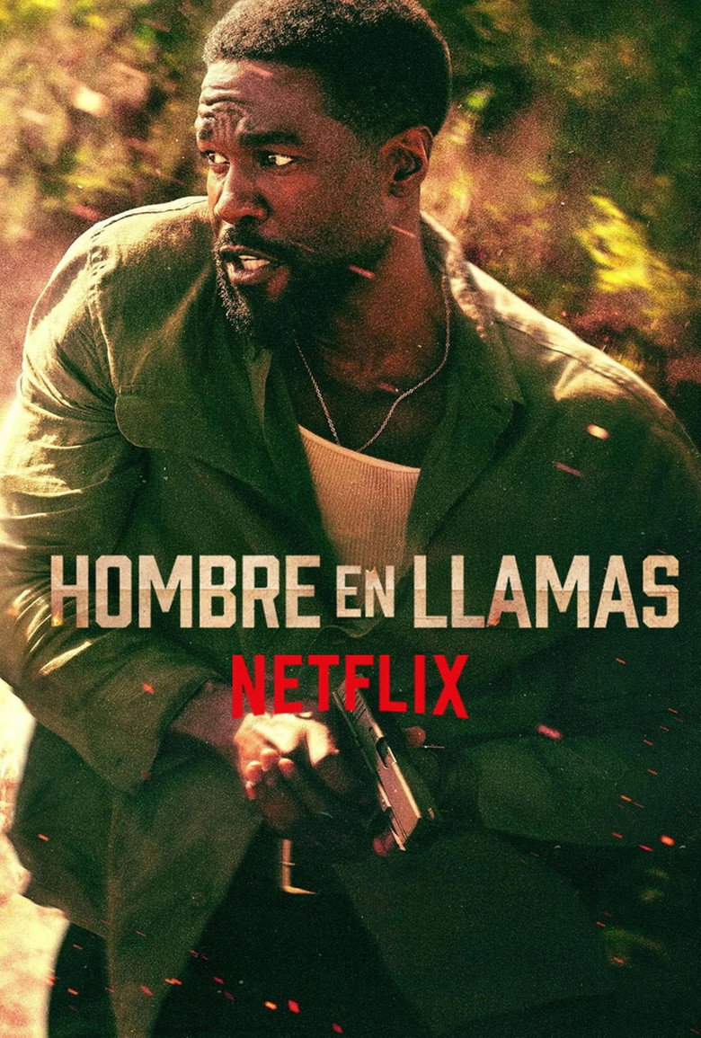 Póster la Serie